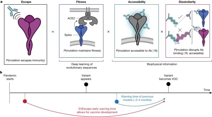 Oxford's New AI Tool EVEscape Predicts Virus Variants