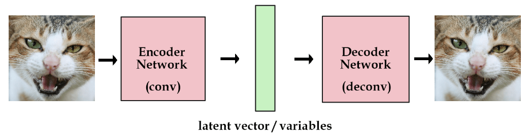 latent vector
