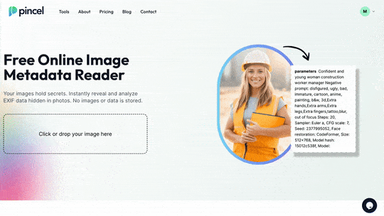 Pincel AI extracts AI prompts from  image